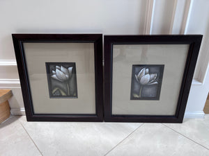 Pair of Ren-Wil Framed Flower Prints