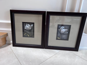 Pair of Ren-Wil Framed Flower Prints