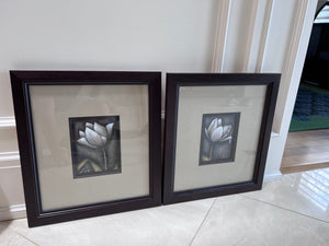 Pair of Ren-Wil Framed Flower Prints