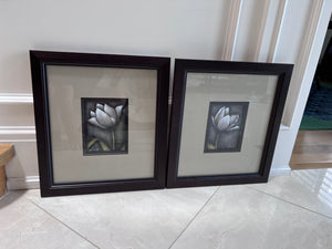 Pair of Ren-Wil Framed Flower Prints