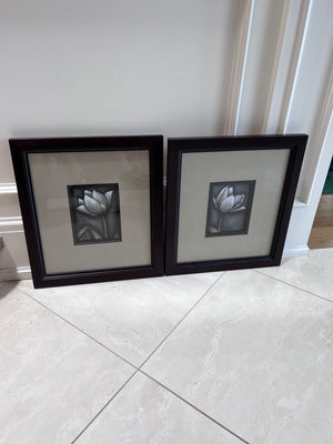 Pair of Ren-Wil Framed Flower Prints