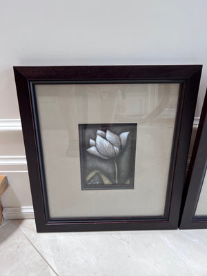 Pair of Ren-Wil Framed Flower Prints