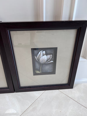 Pair of Ren-Wil Framed Flower Prints