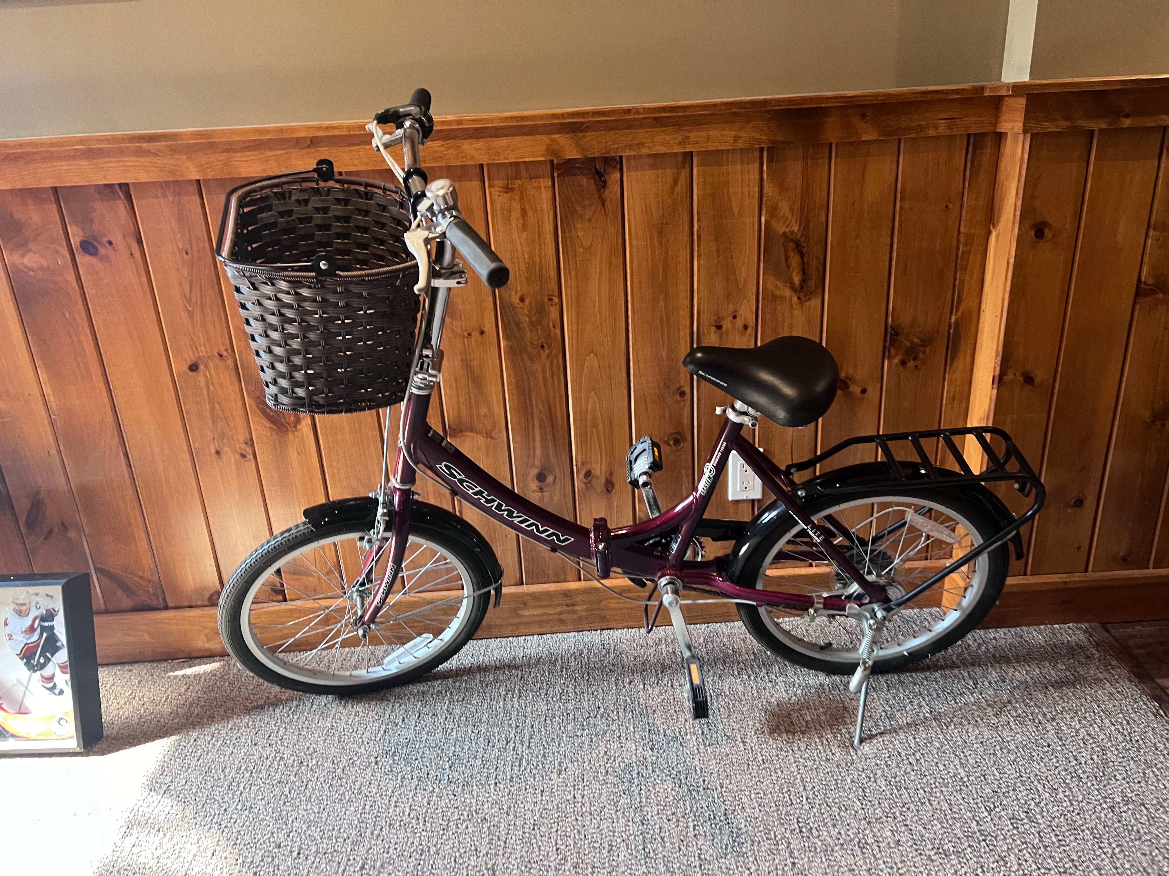 Schwinn 20 online