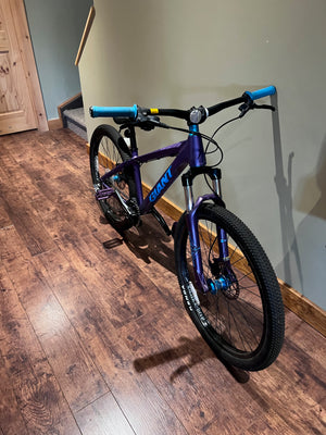 LIKE NEW Giant STP 1 Dirt Jump Bike, Size Regular (*see description for sizing)