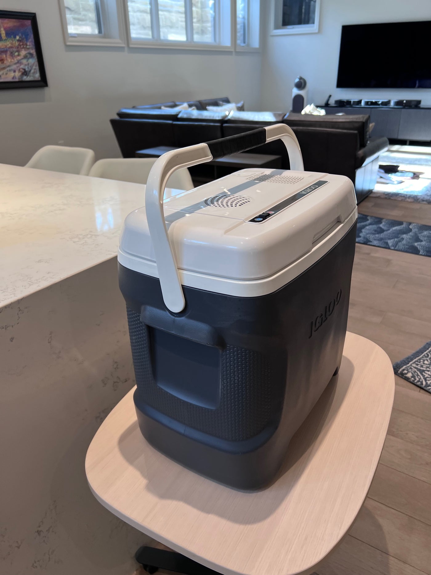 Portable sales electric cooler