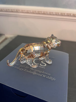 #3- Swarovski Crystal SCS 2010 Standing Tiger Cub #1051686