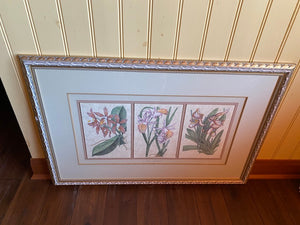 Kinder Harris Inc. Framed Print- "Three Orchids"