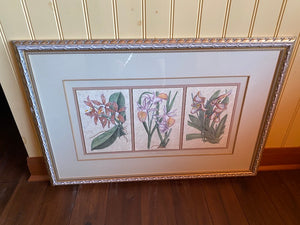 Kinder Harris Inc. Framed Print- "Three Orchids"