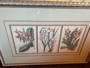 Kinder Harris Inc. Framed Print- "Three Orchids"