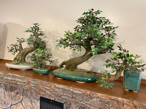 Artificial Bonsai Tree Lot