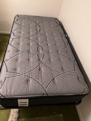 Like New Sealy Twin Mattress + Frame