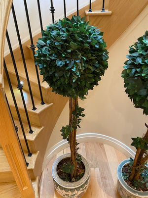 2 Indoor Faux Balloon Trees with Planters